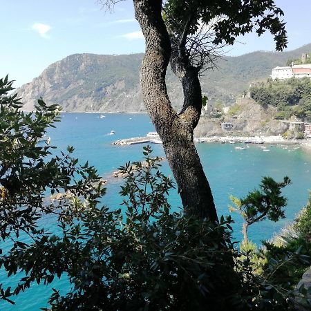 Nel Cuore Di Monterosso Cinque Terre Orto Di Ciack モンテロッソ・アル・マーレ エクステリア 写真