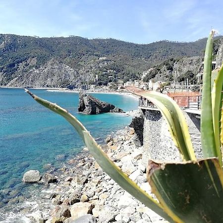 Nel Cuore Di Monterosso Cinque Terre Orto Di Ciack モンテロッソ・アル・マーレ エクステリア 写真